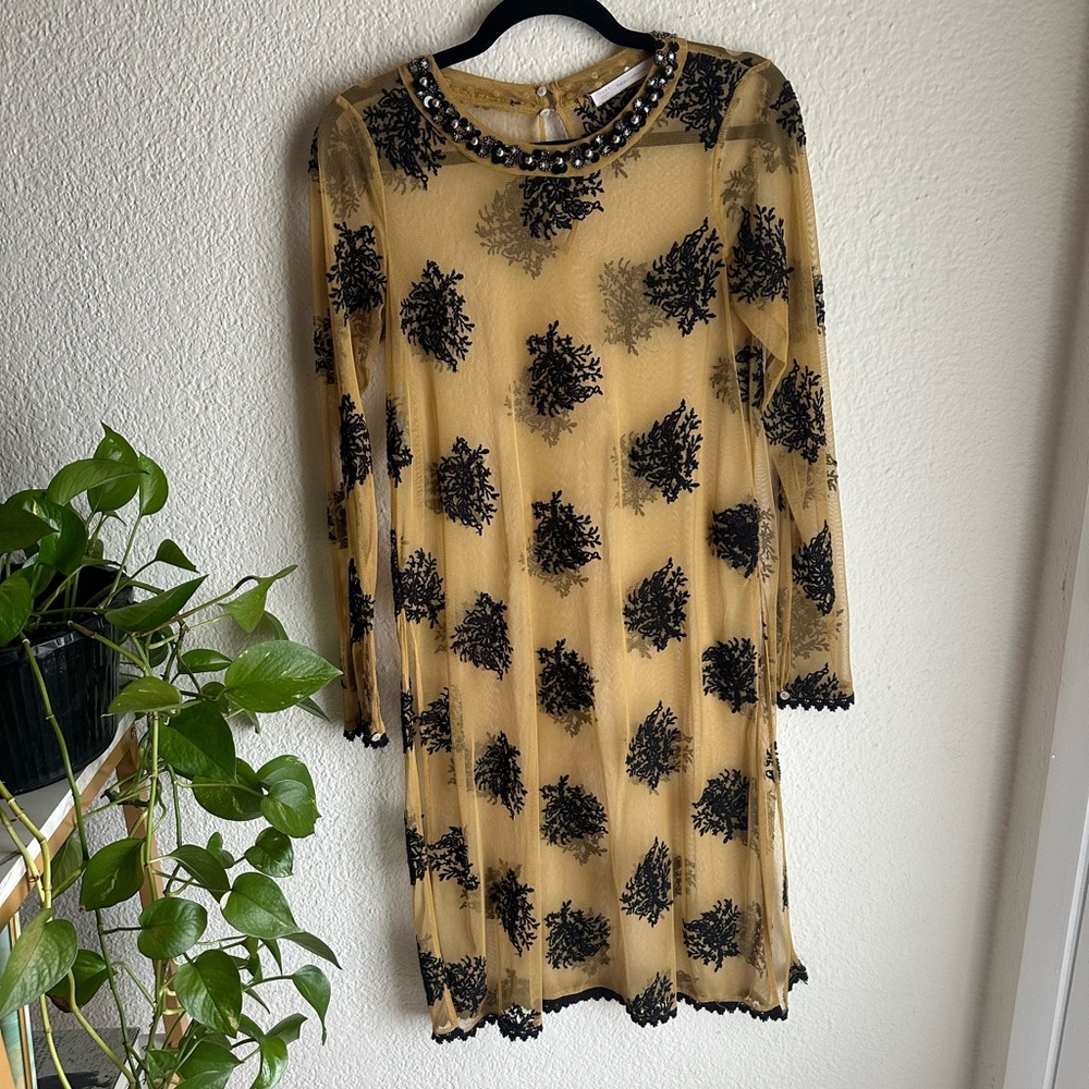 Elegant Black and Gold Sheer Dress